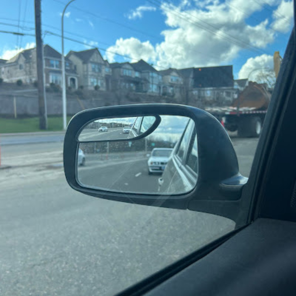 Meet your Posher, Rose